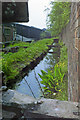SP0388 : Canal feeder towards Engine Arm, 1987 by Robin Webster