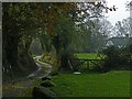 Minor road near Llangybi