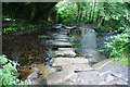 Stepping stones over the River Cober