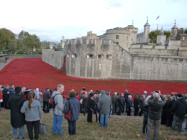 Poppies at The Tower of London #11