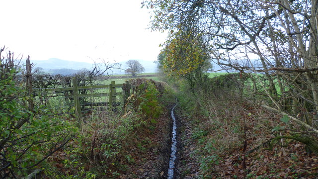 Old field path