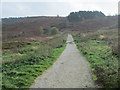 Footpath to White Wells - Wells Road