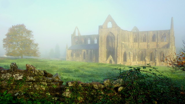 Tintern Abbey in autumnal mist
