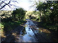 A muddy National Cycle Route 3