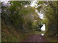 Farm track at Brooklyns