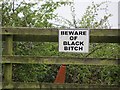 Beware of Black Bitch