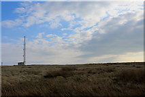 SE0132 : Mast on Cock Hill by Chris Heaton