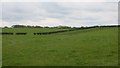 NS3541 : Grass fields near Milburnside by Richard Webb