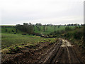 Track  repairs  Towthorpe  Wold