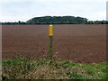 Footpath marker beside a ploughed field