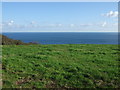 Coastal grazing, Mevagissey