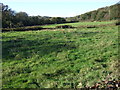 Grazing west of the B3273