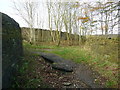 Erosion at the top of Pin Hill Lane