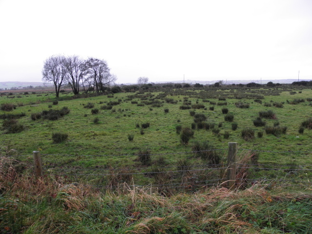 Rushy ground, Kilclean