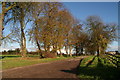 Tree-lined drive to Hall Farm