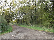 TM1779 : Restricted Byway to Norgate Lane by Geographer