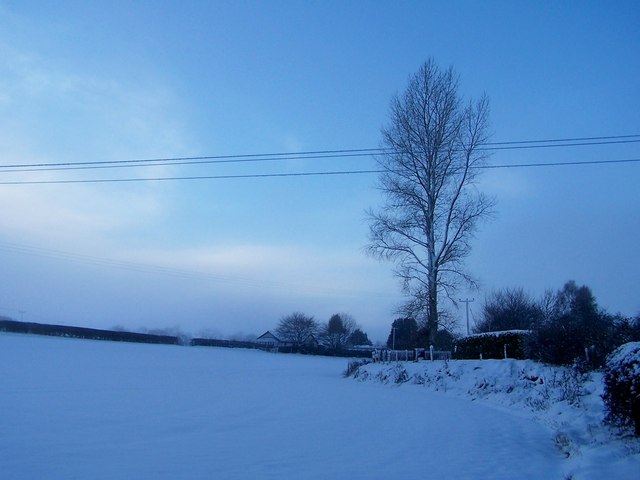 Field under snow