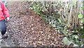 Dry stone wall edging to this old field path