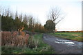 Autumn colours along a farm track off Gulham Road