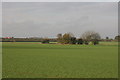 Fledborough farmland