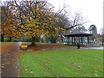 H4573 : Fallen leaves, Grange Park by Kenneth  Allen