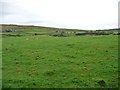 Sheep pasture above Cowburn Beck