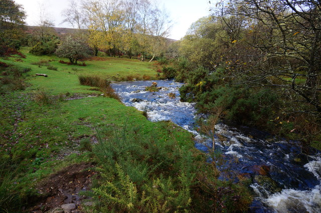 River Mardle looking upstream from the footbridge