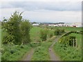 Farm road, Dundonald