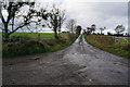 NT5542 : Road leading to Threepwood by Ian S