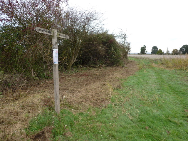 Track and hedge