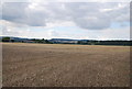 Large field near Withersdane