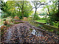 Priest Lane crosses stream or drain