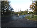 Lime Walk at the junction of St Albans Hill