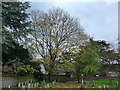 St Nicholas, Great Bookham: churchyard (l)