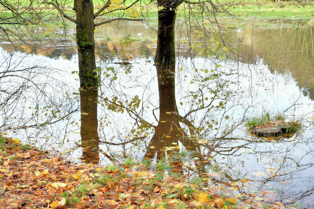 Flooding, Clement Wilson Park, Belfast - November 2014(2)