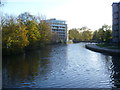 River Lea approaching Lea Bridge Road