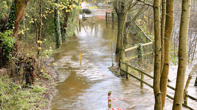 Flooded towpath, Drumbeg, Dunmurry - November 2014(1)