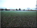 Ground mist on West Hendon Playing Fields