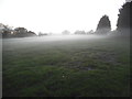 Ground mist on West Hendon Playing Fields