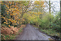 Mapletree Lane, looking towards Mill Green