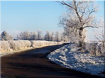 NT9349 : Frosty road by David Chatterton