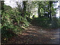 Track towards Tredudwell Manor