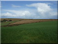 SX1852 : Farmland west of Great Tratford by JThomas