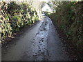 Country lane, Treweers