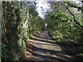 Lane towards West Watergate