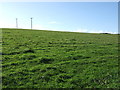 Grazing south of the A387