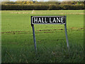 TM1781 : Hall Lane sign by Geographer
