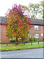 Beautiful colours on Bampton Way