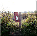 TM1783 : The Moor Postbox by Geographer