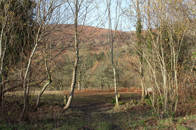 Field near Davy's Hill